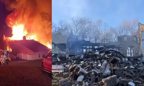 Homeowner burns down house fighting snake infestation