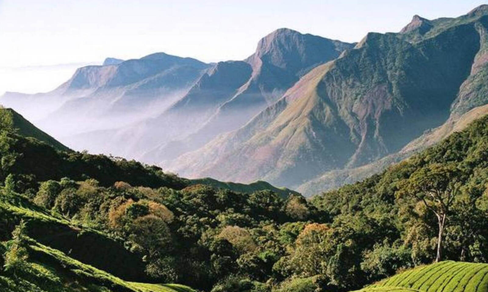 പശ്ചിമഘട്ട വിജ്ഞാപനത്തിലുറച്ച് കേരളം; ഉറപ്പിക്കാതെ കേന്ദ്രം പശ്ചിമഘട്ട വിജ്ഞാപനത്തിലുറച്ച് കേരളം; ഉറപ്പിക്കാതെ കേന്ദ്രം