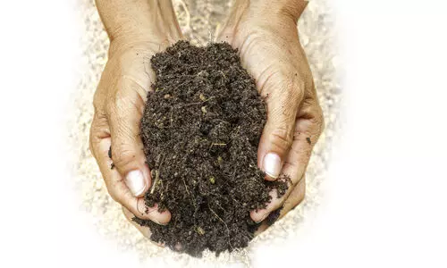 ഭൂമിയുടെ മനസ്സാണ് മണ്ണ് ഭൂമിയുടെ മനസ്സാണ് മണ്ണ്