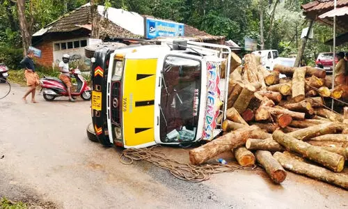 മ​രം ക​യ​റ്റി​വ​ന്ന മി​നി ലോ​റി മ​റി​ഞ്ഞു