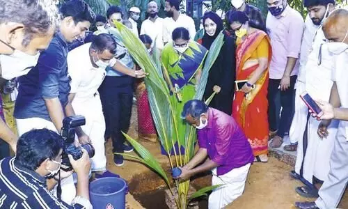 കേരഗ്രാമം പദ്ധതിക്ക്​ മംഗൽപാടിയിൽ തുടക്കം
