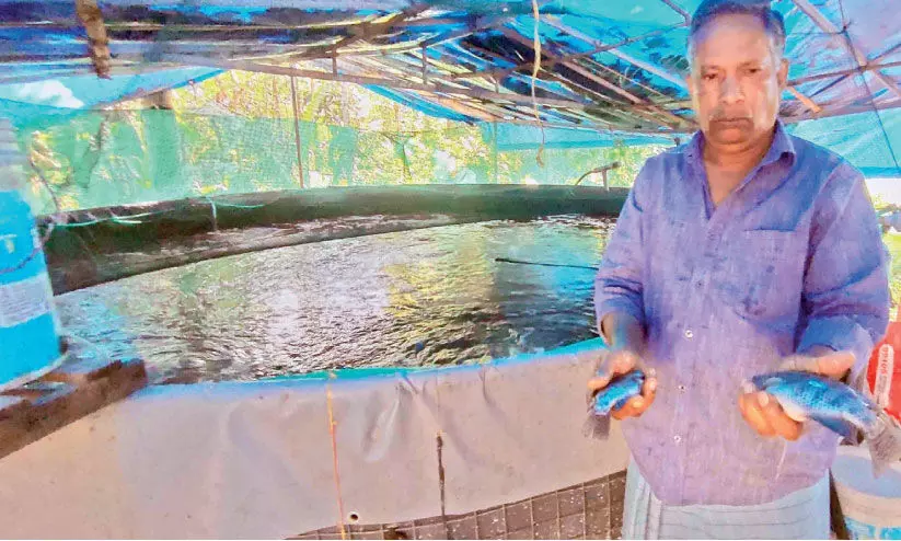 backyard fish farming by Shivashankar