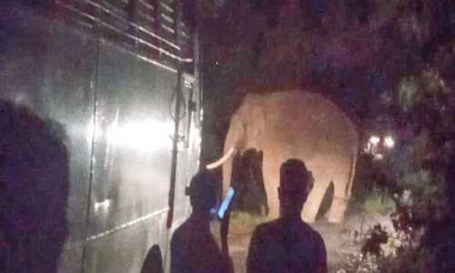 marayoor -chinnar road