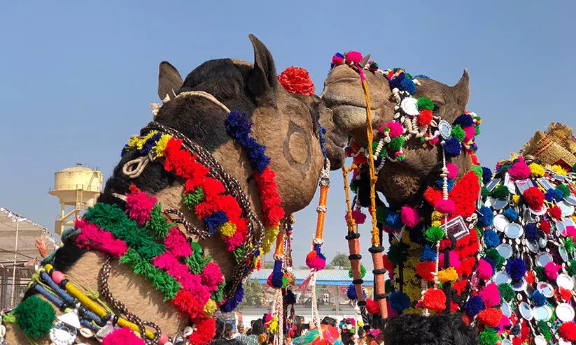 ഒ​ട്ട​ക സൗ​ന്ദ​ര്യ​ മ​ത്സ​രം ഡി​സം​ബ​ർ 14 മു​ത​ൽ