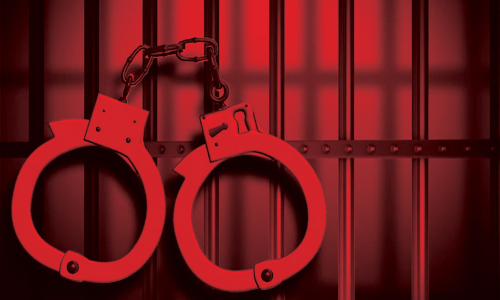 കഞ്ചാവ് കടത്ത്: പ്രതിക്ക് കഠിനതടവും പിഴയും