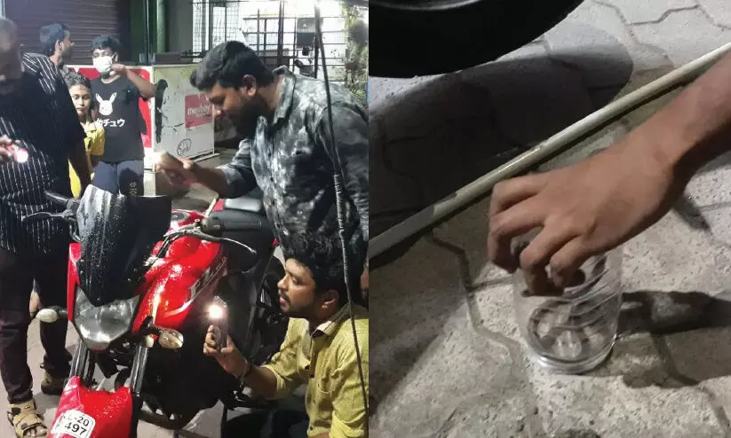 snake on bike snake on bike