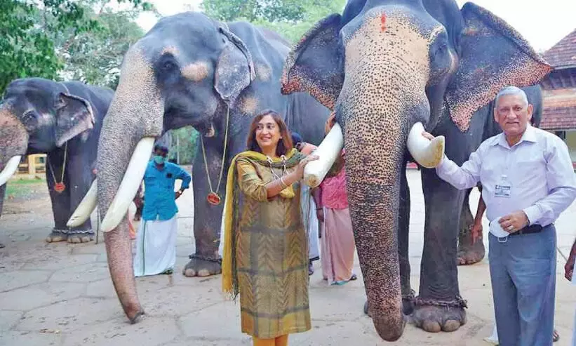 സേനാനായക​െൻറ ഓർമയിൽ ക്ഷേത്രനഗരി