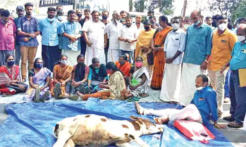 കണ്ണിൽ ചോരയില്ലാതെ വനം വകുപ്പ്