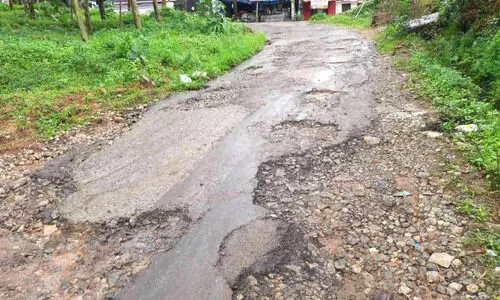 പനവൂര്‍-മൂന്നാനക്കുഴി റോഡ് നിർമാണത്തിൽ മെല്ലെപ്പോക്ക്​