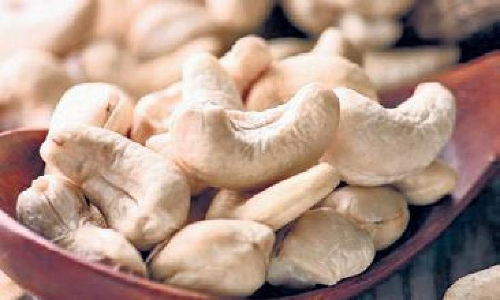 ഗ്രാറ്റ്വിറ്റി കുടിശ്ശികയില്ലാത്ത കാലത്തേക്ക്​ കശുവണ്ടി കോർപറേഷനും കാപെക്സും