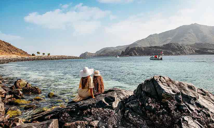 shark-island shark-island