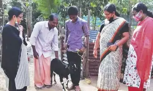 ക്ഷീ​ര ക​ർ​ഷ​ക​നാ​വാ​ൻ മോ​ഹി​ച്ച വി​ദ്യാ​ർ​ഥി​ക്ക് ആ​ടി​നെ സ​മ്മാ​നി​ച്ച്​ അ​ധ്യാ​പി​ക