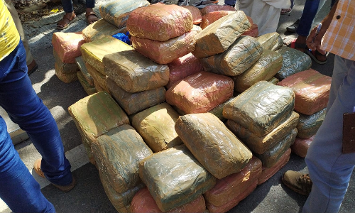 കൂട്ടുപുഴയിൽ വൻ കഞ്ചാവ്​വേട്ട