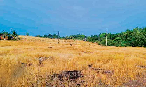 സർക്കാർ അംഗീകാരം നൽകിയിട്ട് പത്തുവർഷം; പെരിയ ചെറു വിമാനത്താവളത്തിന്​ തുടർ നടപടിയില്ല    ​