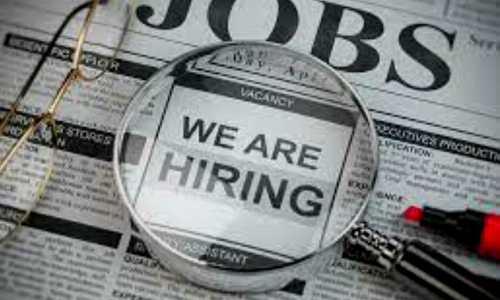 Number of candidates hired for government jobs in 2020 21 fell by 46 8 Percent