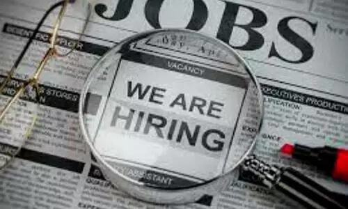 Number of candidates hired for government jobs in 2020 21 fell by 46 8 Percent