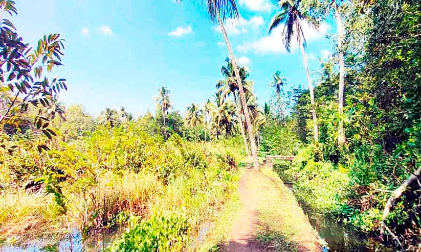 Ampalloor Electronics Park Ampalloor Electronics Park