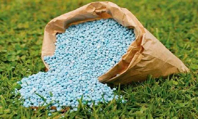 യൂ​റി​യ​ക്ക് തീ​വി​ല: വി​പ​ണി​യി​ൽ രാ​സ​വ​ള ക്ഷാ​മ​വും വി​ല​വ​ർ​ധ​ന​യും