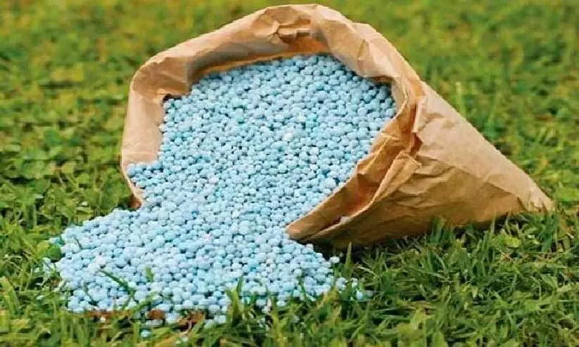 യൂ​റി​യ​ക്ക് തീ​വി​ല: വി​പ​ണി​യി​ൽ രാ​സ​വ​ള ക്ഷാ​മ​വും വി​ല​വ​ർ​ധ​ന​യും