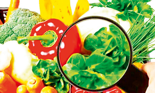 ഭക്ഷ്യ നിരീക്ഷണത്തിന്​ പഞ്ചവത്സര പദ്ധതി