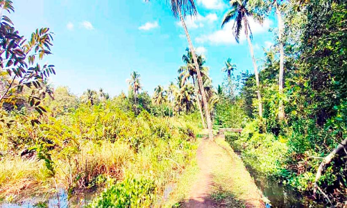 Ampalloor Electronics Park