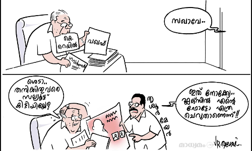 ആനക്കാര്യത്തിനിടയിൽ...