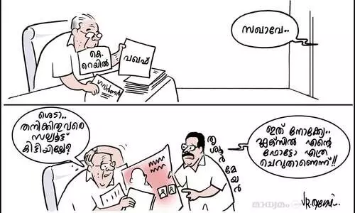 ആനക്കാര്യത്തിനിടയിൽ...