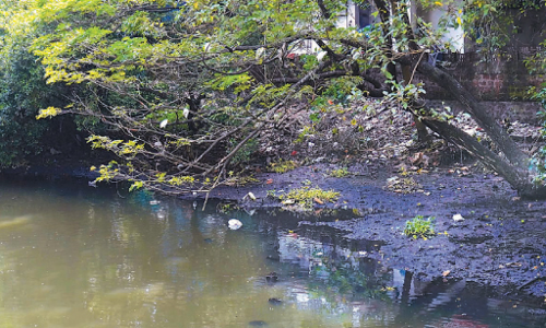 കനോലി കനാൽ വീണ്ടും കുപ്പത്തൊട്ടി