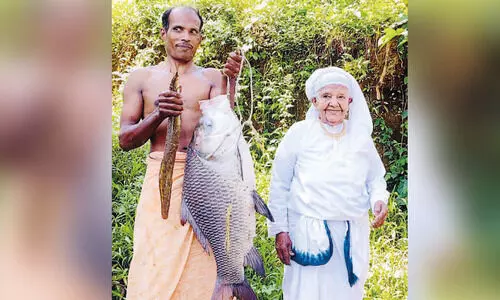 ഈ മത്സ്യം പറയും കാരുണ്യത്തിെൻറ കഥ... ഈ മത്സ്യം പറയും കാരുണ്യത്തിെൻറ കഥ...
