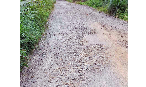 അവഗണനയുടെ സ്മാരകമായി കുന്നത്തൂർ പാടി–കാഞ്ഞിരക്കൊല്ലി റോഡ് അവഗണനയുടെ സ്മാരകമായി കുന്നത്തൂർ പാടി–കാഞ്ഞിരക്കൊല്ലി റോഡ്