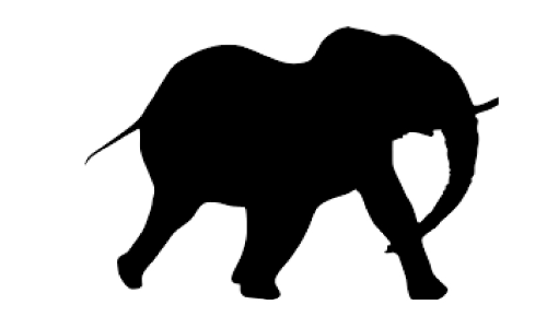 ഉത്സവത്തിനെത്തിച്ച ആന ഇടഞ്ഞു; പാപ്പാന് പരിക്ക്