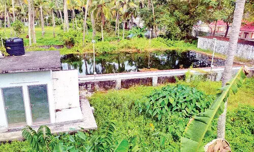 കാടുപിടിച്ച് പെരിഞ്ഞനത്തെ നീന്തൽക്കുളം