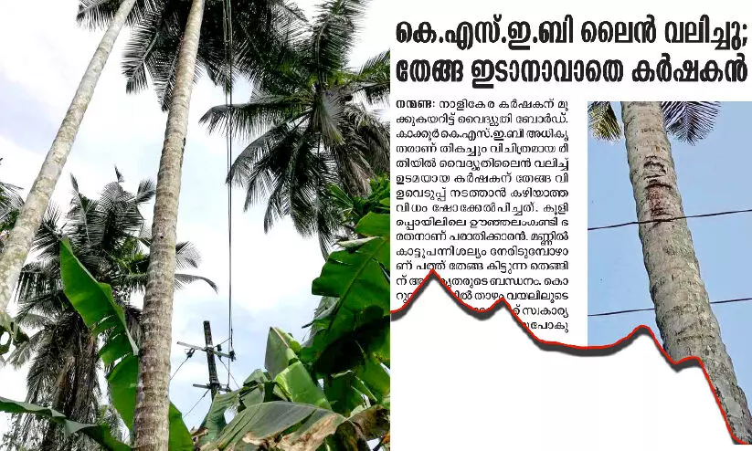 കെ.​എ​സ്.​ഇ.​ബി ന​യം മാ​റ്റി; ഭരതന് ഇനി തേങ്ങ വിളവെടുക്കാം