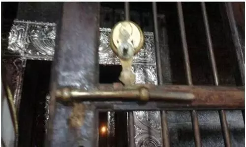 ചെറുകുന്നം ക്ഷേത്രത്തിൽ മോഷണം; പഞ്ചലോഹ അങ്കികളും കാണിക്കവഞ്ചിയും നഷ്ടപ്പെട്ടു