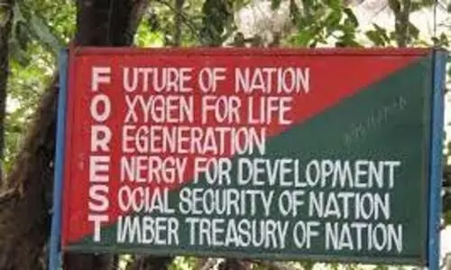 താൽക്കാലിക വനം വാച്ചർമാരെ പിരിച്ചുവിട്ട് പുതിയ നിയമനത്തിന് ലേലം വിളി താൽക്കാലിക വനം വാച്ചർമാരെ പിരിച്ചുവിട്ട് പുതിയ നിയമനത്തിന് ലേലം വിളി