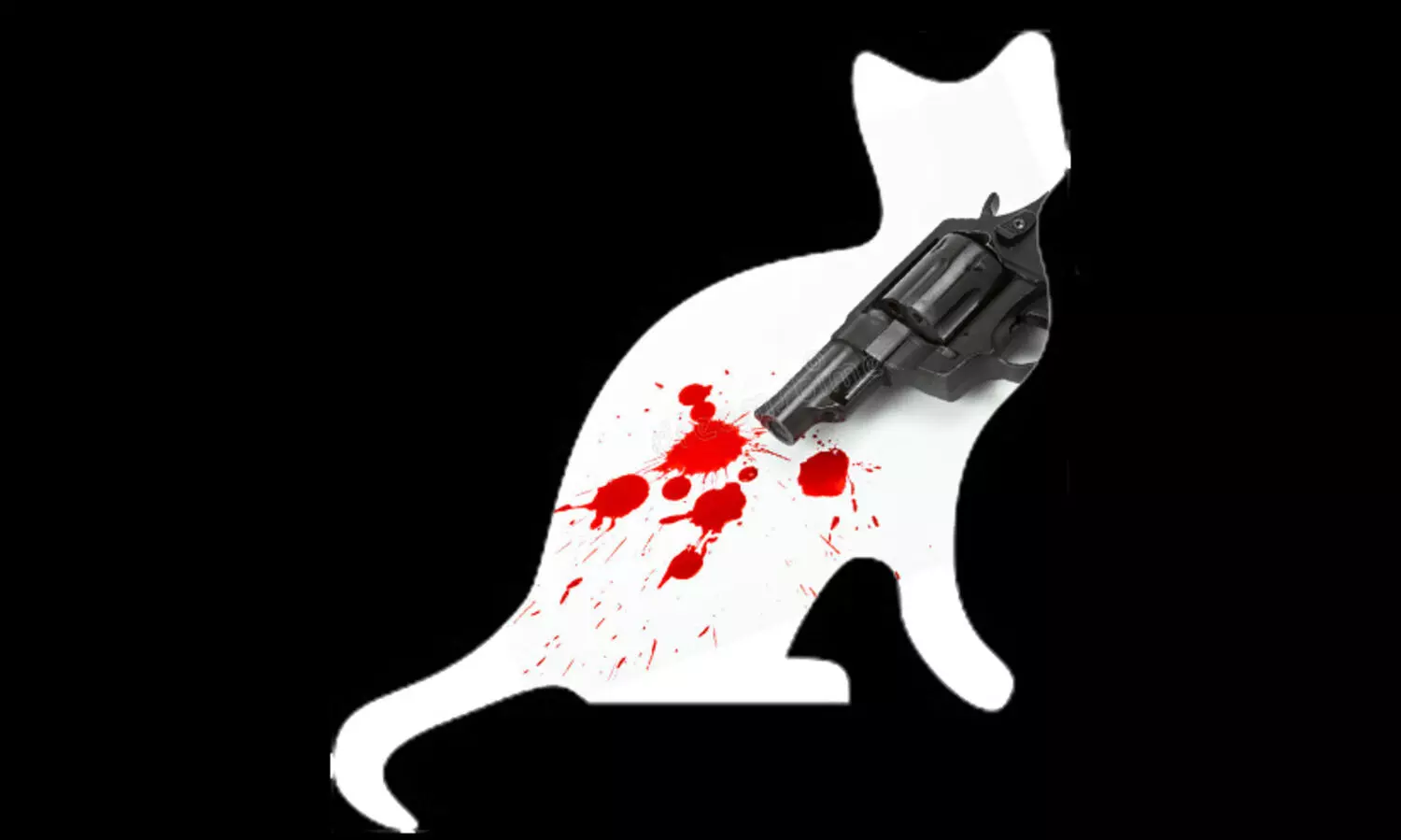 പൂച്ചയെ വെടിവെച്ചു​കൊന്ന അയൽവാസി അറസ്റ്റിൽ; പ്രാവിനെ ആക്രമിച്ചതിന്​ പക വീട്ടിയതെന്ന്​ മൊഴി