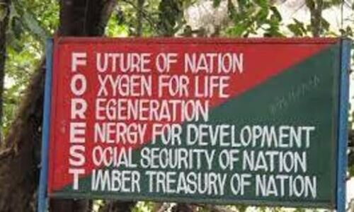 താൽക്കാലിക വനം വാച്ചർമ​ാരെ പിരിച്ചുവിട്ട്​  പുതിയ നിയമനത്തിന്​ ലേലം വിളി