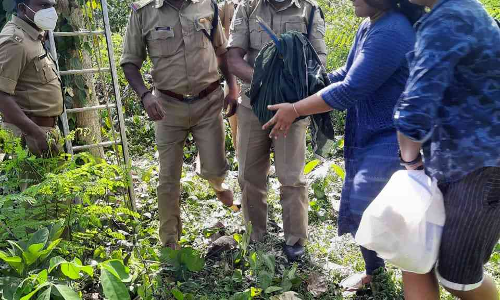 കാണാതായ തത്തയെ തിരികെ കിട്ടി; നന്ദി പറഞ്ഞ് സാമും സൈറയും