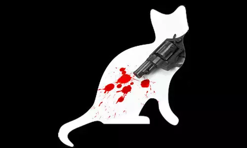 പൂച്ചയെ വെടിവെച്ചു​കൊന്ന അയൽവാസി അറസ്റ്റിൽ; പ്രാവിനെ ആക്രമിച്ചതിന്​ പക വീട്ടിയതെന്ന്​ മൊഴി