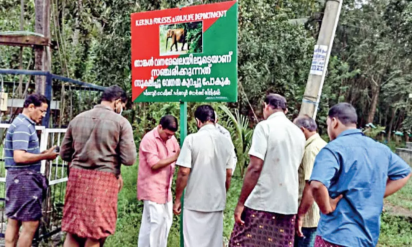 In the controversy over the board set up by the Forest Department