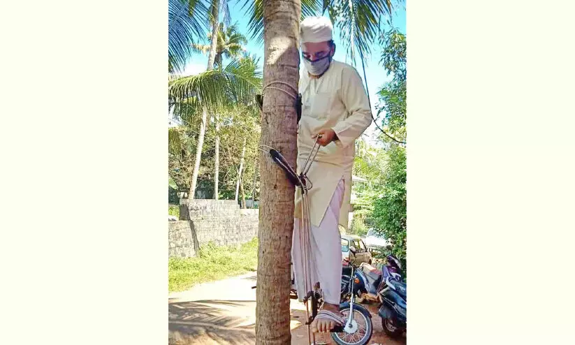 തെങ്ങുകയറ്റത്തിലും മാതൃകയായി റഫീഖ് മൗലവി