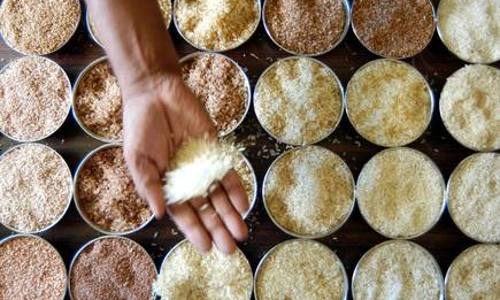 ചോറും തിന്നണ്ട; വയറ്റത്തടിച്ച് അരിവില കൂടുന്നു ചോറും തിന്നണ്ട; വയറ്റത്തടിച്ച് അരിവില കൂടുന്നു