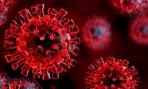 കോ​വി​ഡ്​: 165 പു​തി​യ രോ​ഗി​ക​ൾ; 125 രോ​ഗ​മു​ക്​​തി