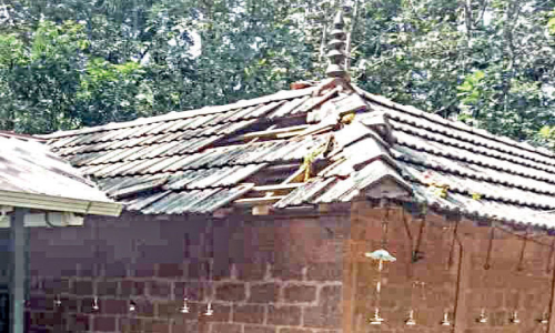 Another robbery at Pachiri temple