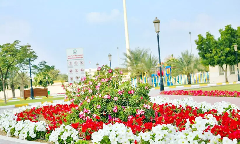 ഷാർജയിൽ പൂവിനുള്ളിൽ പൂവിരിയും പൂക്കാലം ഷാർജയിൽ പൂവിനുള്ളിൽ പൂവിരിയും പൂക്കാലം