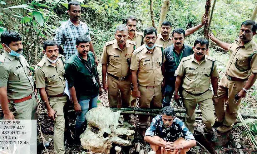ആനപ്പല്ല് വിൽക്കാൻ ശ്രമിക്കുന്നതിനിടെ പിടിയിൽ