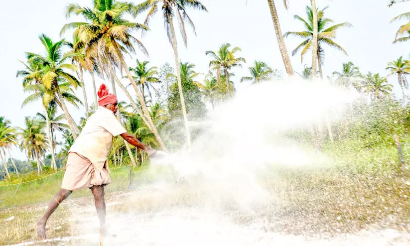 കുമരകത്തും പക്ഷിപ്പനി സ്ഥിരീകരിച്ചു