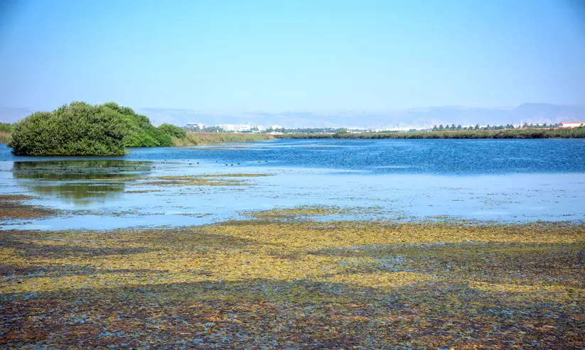 ഇക്കോ ടൂറിസം: നിക്ഷേപാവസരമൊരുക്കി പരിസ്ഥിതി അതോറിറ്റി ഇക്കോ ടൂറിസം: നിക്ഷേപാവസരമൊരുക്കി പരിസ്ഥിതി അതോറിറ്റി
