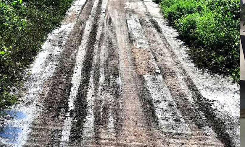 മനുഷ്യ വിസര്ജ്യം റോഡിലൊഴുക്കി മനുഷ്യ വിസര്ജ്യം റോഡിലൊഴുക്കി