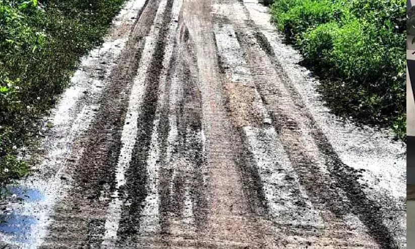 മനുഷ്യ വിസര്ജ്യം റോഡിലൊഴുക്കി മനുഷ്യ വിസര്ജ്യം റോഡിലൊഴുക്കി